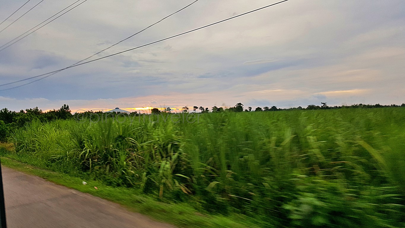 sunset among the sugarcane fields in Manapla, Negros Occidental