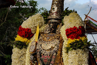 Sri Parthasarathy Perumal, Venkata KRishnan,Kodai Utsavam,Purappadu, 2018, Video,Divya Prabhandam,Triplicane,Thiruvallikeni,Utsavam,