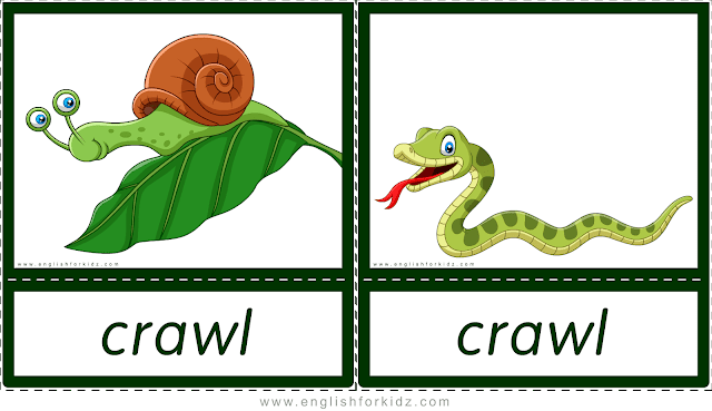 Crawl (snail, snake) - printable animal actions flashcards for English learners