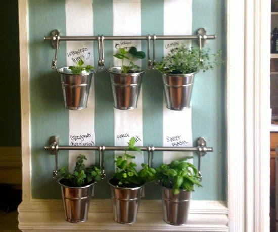 stunning indoor garden wall with buckets