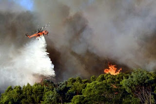 πυρκαγιά καίει πευκοδάσος στα Δερβενοχώρια