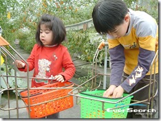 nEO_IMG_DSCF0235