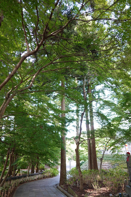 島根県出雲市小境町　一畑薬師