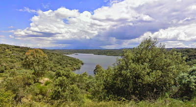 Exuberante vegetación que rodea el embalse de Valdeobispo