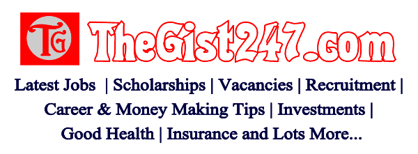 TheGist247.com - The Informative Blog