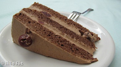 ludlabtorta1