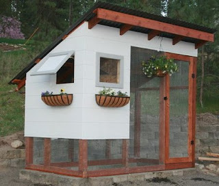 Chicken Coops