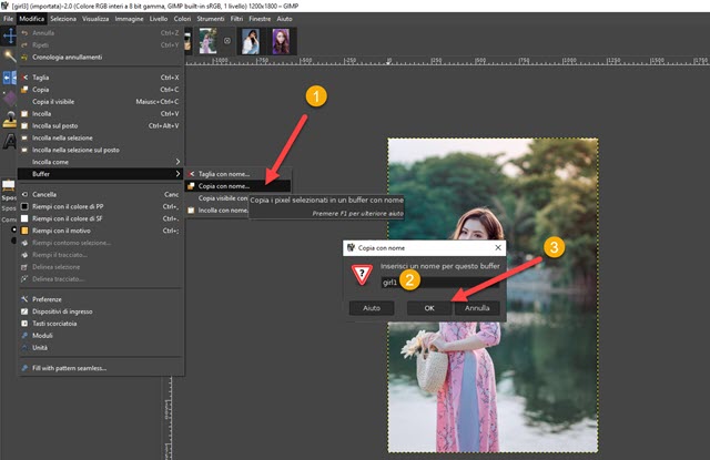 copiare con nome su gimp con buffer