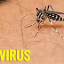 Zika virus emergency declaration lifted by World Health Organization 
