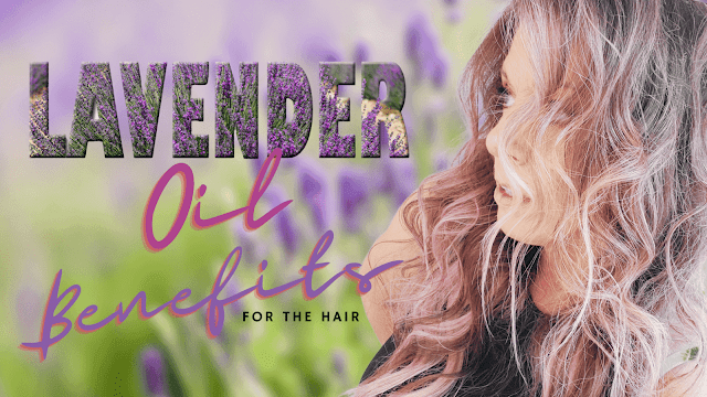 key-benefits-of-lavender-oil-for-hair-barbies-beauty-bits