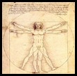 El cuerpo humano