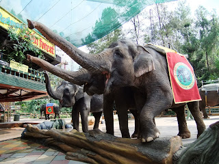 Pesona Taman Safari Bogor Indonesia