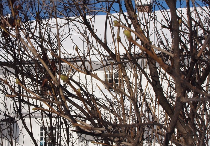 P3024520