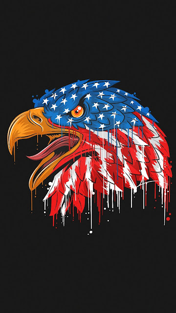 American Flag Eagle Minimal