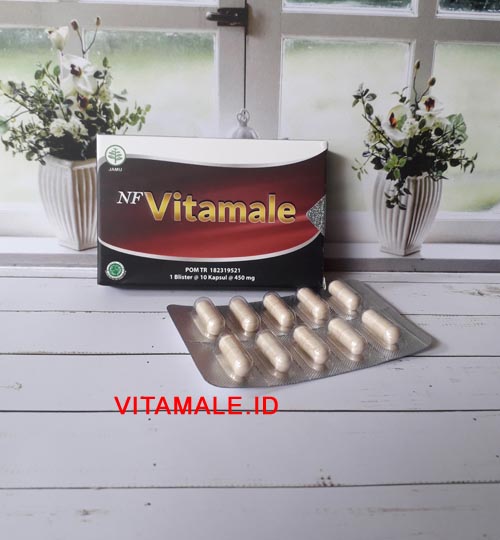 <br/>Dapatkan Info Distributor NF Vitamale di Bantul Biar Aman, Segera  <br/>