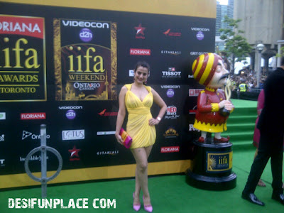 Amisha Patel In Yellow Drew