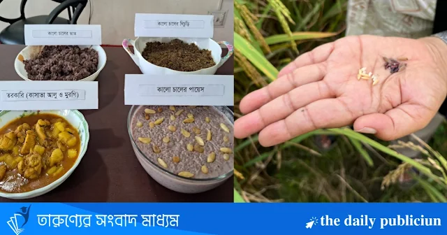বাকৃবিতে রঙিন চাল নিয়ে গবেষণা: কালো চাল থেকে মুখরোচক খাদ্যসামগ্রী উদ্ভাবন
