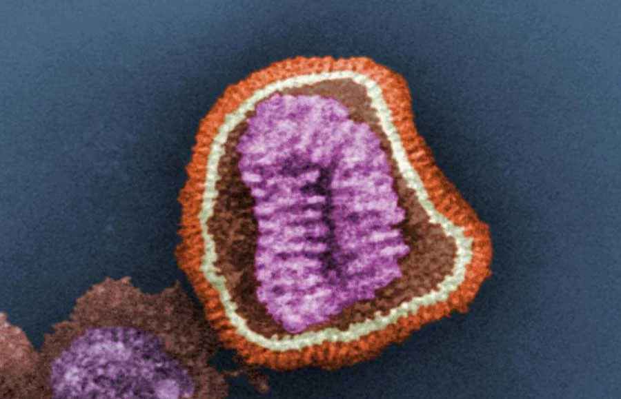 virus flu, atasi flu dengan cara alami