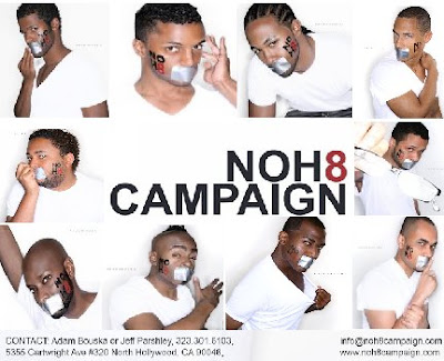 The NOH8 Campaign is a photo project and silent protest created by celebrity