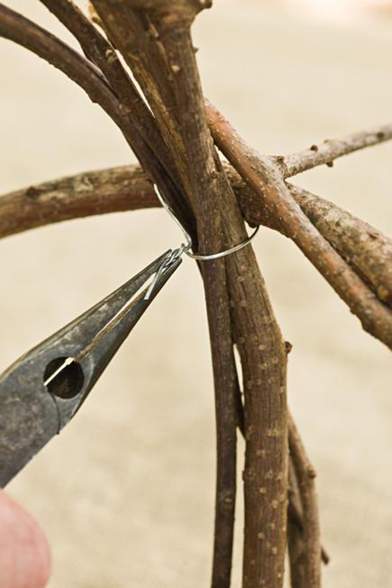 How to Make a Sphere from Dogwood Cuttings