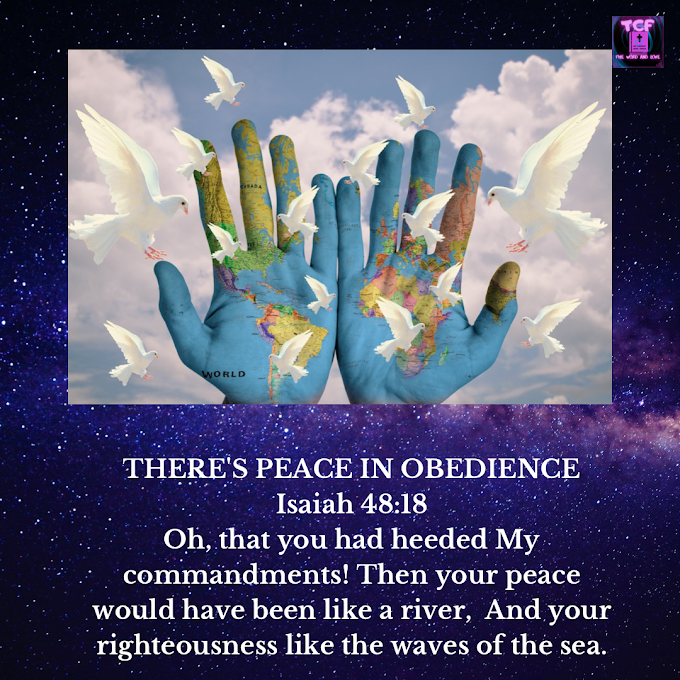 DAILY DEVOTIONAL: THERE'S PEACE IN OBEDIENCE