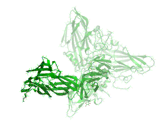 Structure Alignment    :    STRAP(Java WebStart application, automatic local installation, requires Java; full application with system access!) Biol.Unit 1 - manually  (Jmol Viewer)