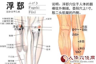 浮郄穴位 | 浮郄穴痛位置 - 穴道按摩經絡圖解 | Source:xueweitu.iiyun.com