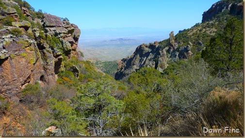 South rim hike,Big bend_069