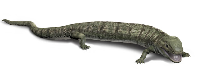 An extinct early reptile-like animal(Westlothiana Lizziae)- Shubham Singh (Universe)