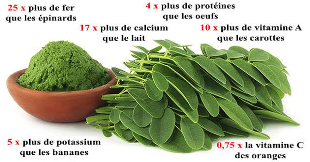 L’huile de Moringa