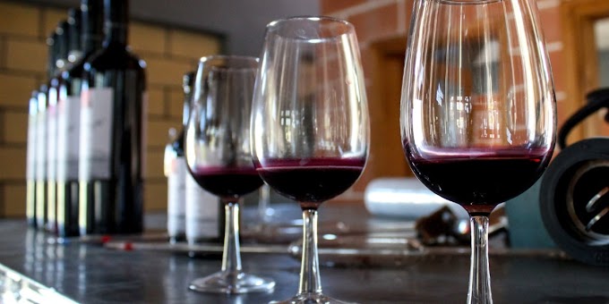 5 Best Wines For Beginners: Tips for How to Get Started with Wine