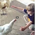 Hen Hug With Cute Kid-Must Watch