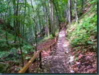 DSCN0898