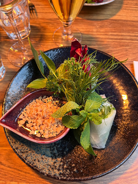 Salad and Vietnamese summer rolls on an earthenware plate