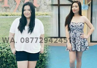 Jual Obat Pelangsing Penurun Berat Badan Diet Ampuh Di Apotik Solok Bisa COD