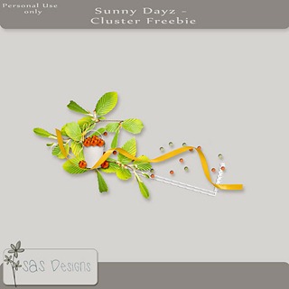 sas_sunnydayz_cluster_free_pre