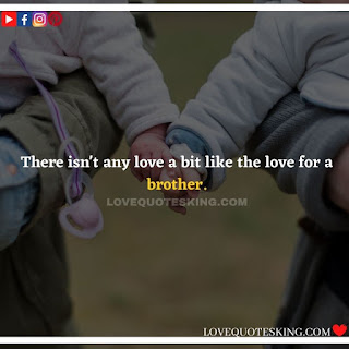 Best Funny Brother Quotes From a Sister | Best Quotes About Brothers To Say | Best Brother Quotes And Sibling Sayings | Funny Quotes On Brother And Sister