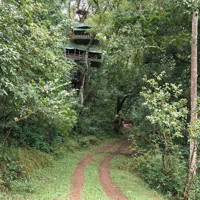 Tree House Wild Canopy Reserve