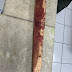 Idoso é detido após agredir homem com pedaço de madeira em Novo Oriente