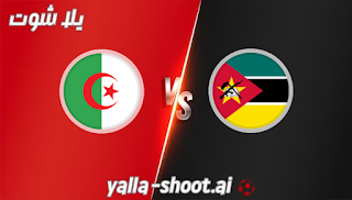 مشاهدة مباراة الجزائر وموزمبيق بث مباشر يلا شوت 19-11-2023 في تصفيات كأس العالم افريقيا