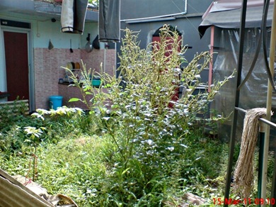 DSC08113