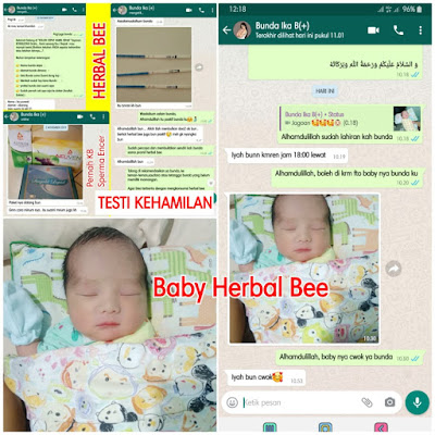 testimoni herbal bee