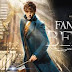 Fantastic Beasts - The review