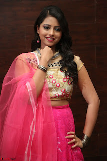 Geethanjali sizzles in Pink at Mixture Potlam Movie Audio Launch 012.JPG