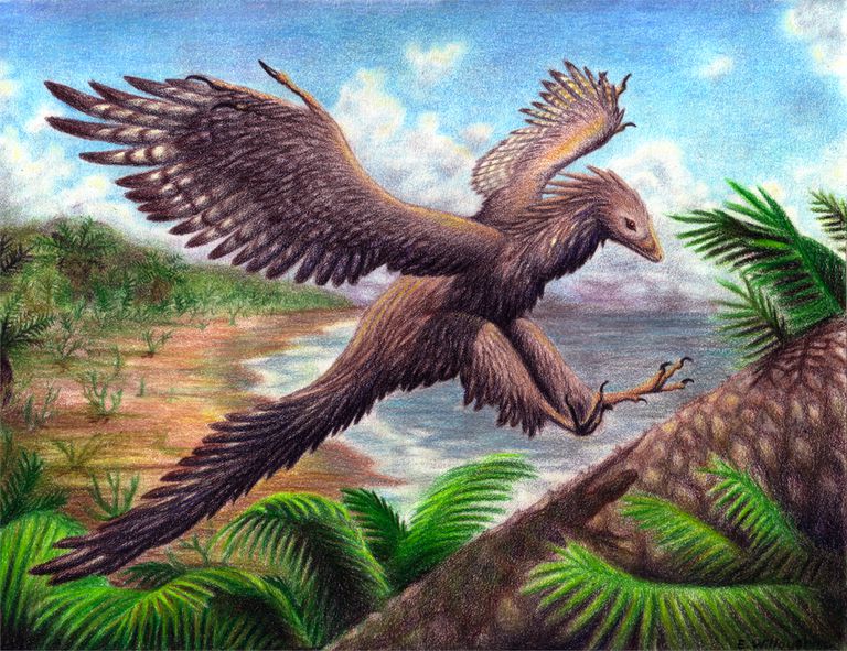 Archaeopteryx, Burung yang Punah Bersama Dinosaurus