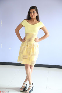 Shipra gaur in V Neck short Yellow Dress ~  057.JPG