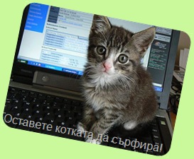 midgethecatjpg-main_Full
