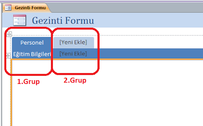 gezinti formları