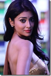 Shriya Saran Hot Saree Photos at IIFA 2012