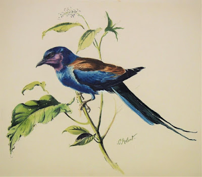 Conrad Roland Pennsylvania Painter, Ornithology Painter, Whippoorwill image